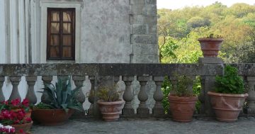Vacation Tours in Rome