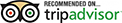 In Italy Tours Recommended on TripAdvisor