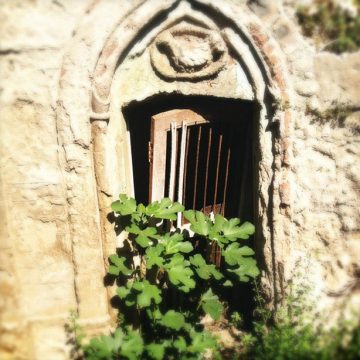 Vacations in Sicily
