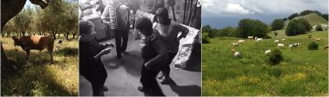 Family heritage Tours in Calabria