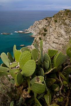 saling tour to capo vaticano