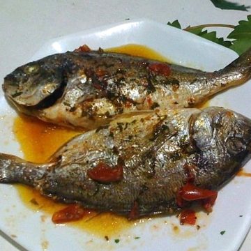 fishing tour in tropea