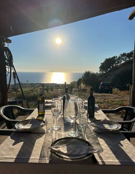 Wine Tour in Brattiro