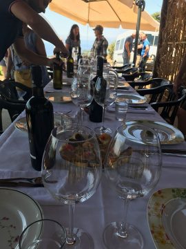 Wine Tour in Brattiro