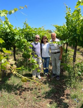 Wine Tour in Brattiro