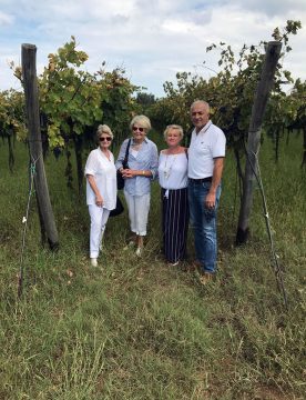 Wine Tour in Brattiro