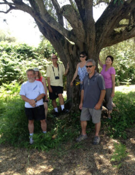 Calabria Ancestry Tour