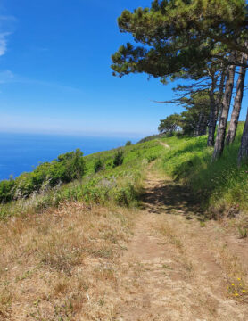 Walking, Food and Wine Tour in Calabria