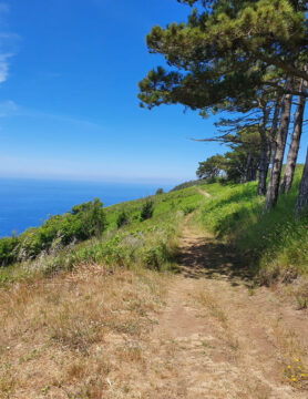 Walking, Food and Wine Tour in Calabria