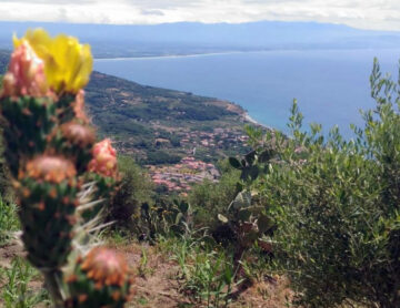 Walking, Food and Wine Tour in Calabria