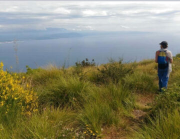 Walking, Food and Wine Tour in Calabria