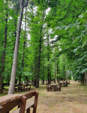 Walking, Food and Wine Tour in Calabria