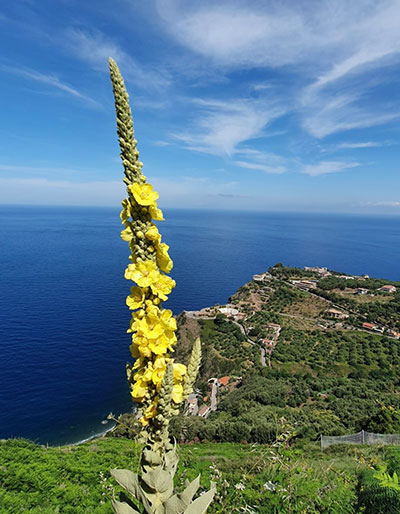 Walking, Food and Wine Tour in Calabria