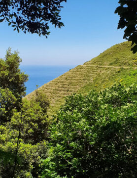 Walking, Food and Wine Tour in Calabria