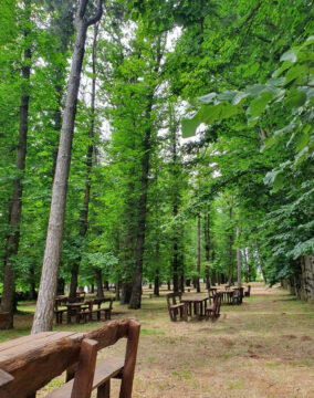 Walking, Food and Wine Tour in Calabria