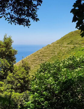 Walking, Food and Wine Tour in Calabria