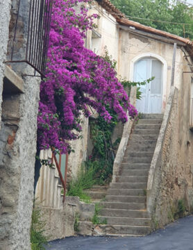 Walking, Food and Wine Tour in Calabria