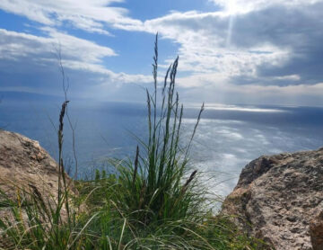 Walking, Food and Wine Tour in Calabria