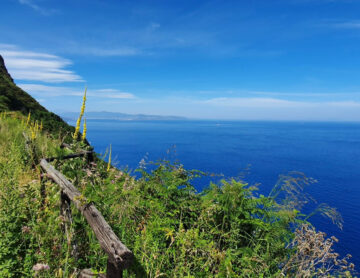 Walking, Food and Wine Tour in Calabria