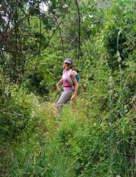 Walking, Food and Wine Tour in Calabria