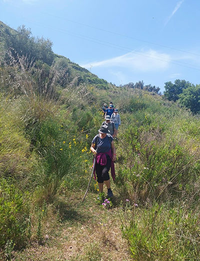 Walking, Food and Wine Tour in Calabria