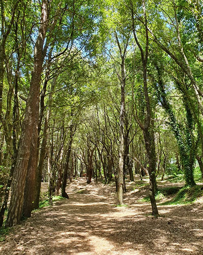 Walking, Food and Wine Tour in Calabria