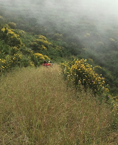 Walking, Food and Wine Tour in Calabria