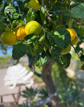 Walking, Food and Wine Tour in Calabria