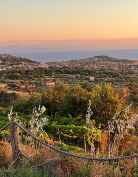 Walking, Food and Wine Tour in Calabria