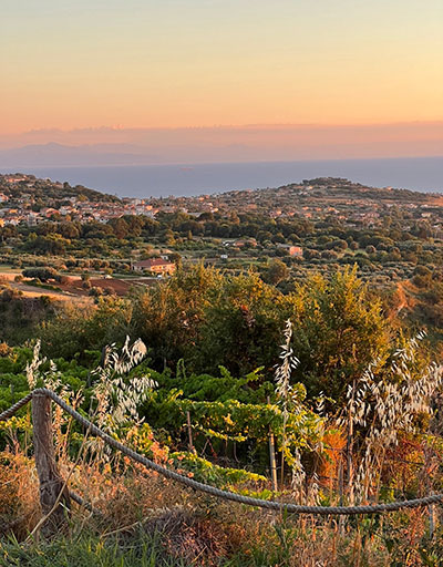 Walking, Food and Wine Tour in Calabria