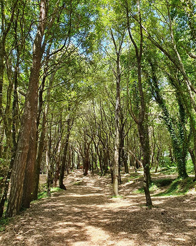 Walking, Food and Wine Tour in Calabria