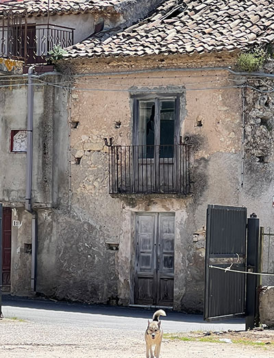 Walking, Food and Wine Tour in Calabria