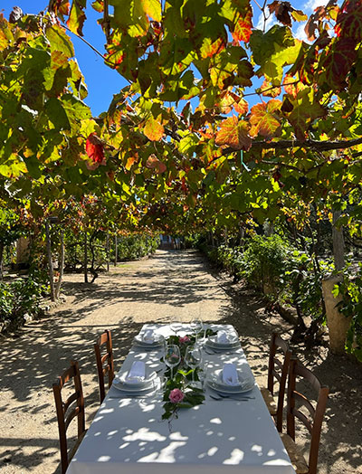 Walking, Food and Wine Tour in Calabria