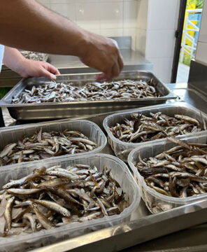 Cooking with the Locals