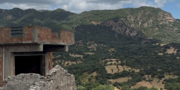 View from the ancient village of Cirella overlooking the green Calabrian hills, where an ancestry tour reunited family members discovering their roots.