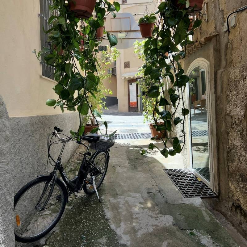 Narrow lane in Tropea with hanging plants and a bicycle representing authentic local life in Calabria