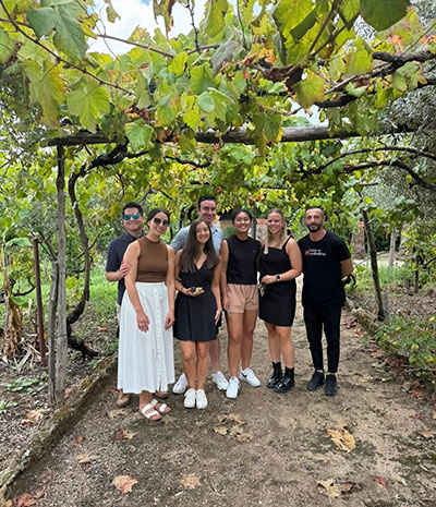 Guests relaxing under vineyard canopies in the Calabrian countryside