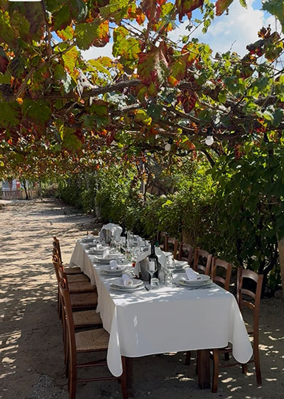 Outdoor cooking class table set under grapevines in Tropea