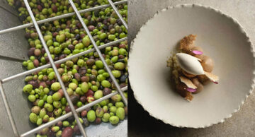 Photo A: Fresh olives during a guided olive oil visit in Calabria Photo B: Elegant plated dish served at Michelin starred restaurant Qafiz
