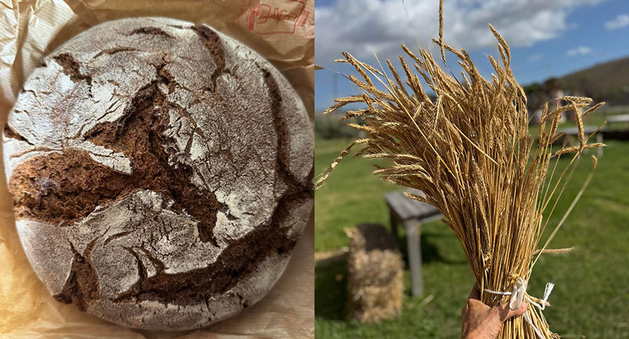 ANCIENT FLOUR MILL AND BREAD MAKING IN CALABRIA