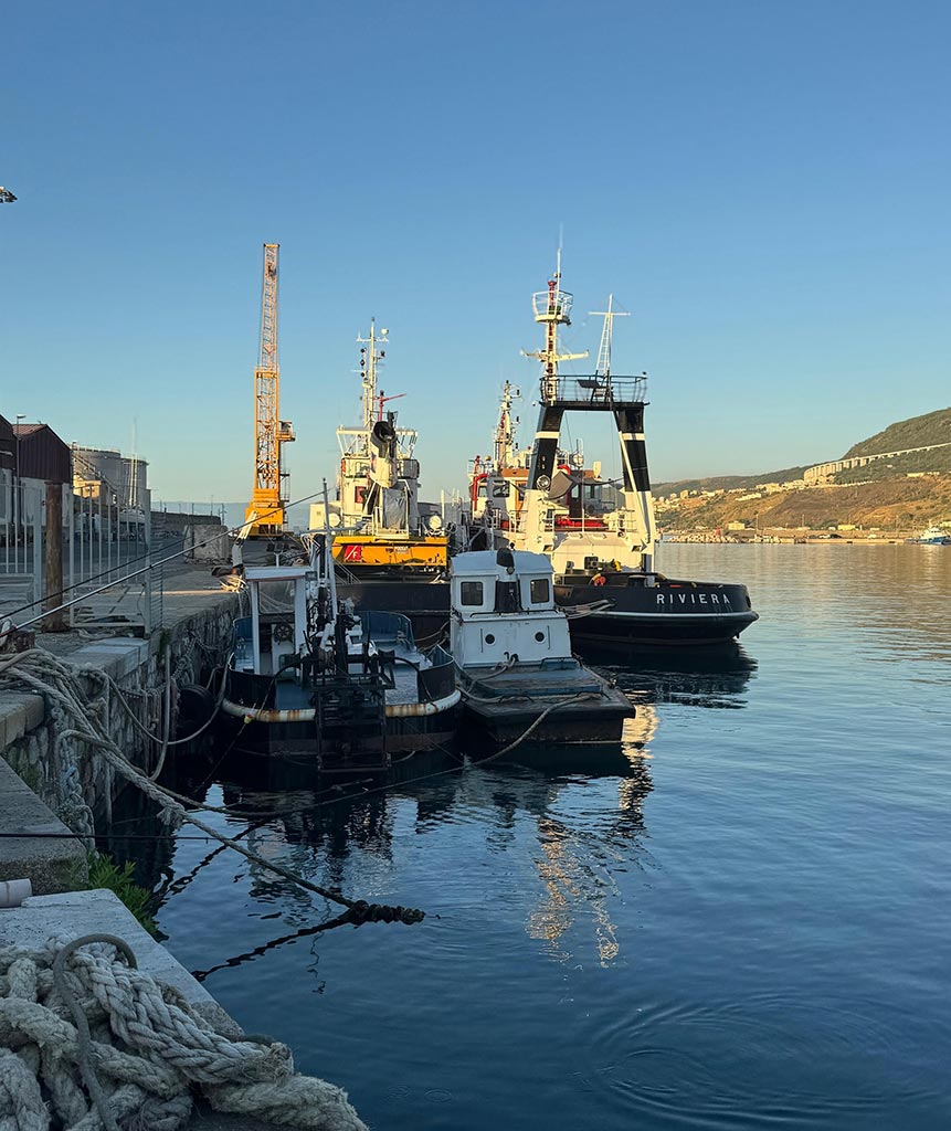 Fishing boats at Vibo Marina harbour on the Tyrrhenian coast of Calabria Italy